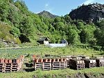 Uriezzo , mt.692 (fraz. di Premia - VB)